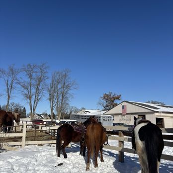 High Vibes Trail Rides - Horseback Riding Near Me - Milford, Michigan High Vibes Trail Rides - Horseback Riding Near Me - Milford, Michigan