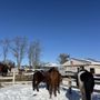 Photo of High Vibes Trail Rides