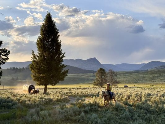 Roosevelt Corrals by null
