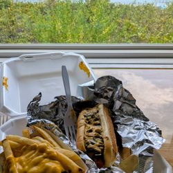 Hot Diggity Dogz - Jalapeno cheesy hot dog and cheese fries.