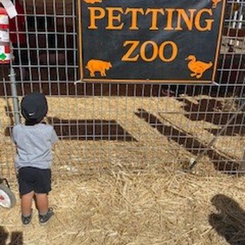 Queens Pumpkin Patch - Pumpkin Patches Near Me - Saratoga, California