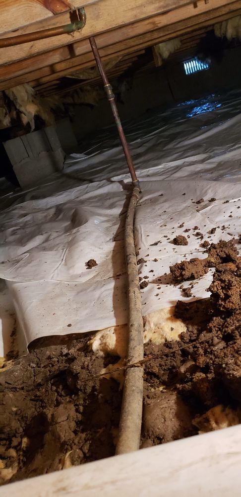 Slide of Elliott Plumbing Services