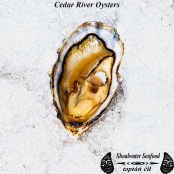 Shoalwater Seafood - Shoalwater Seafood's Cedar River Oyster - Seafood Markets Near Me - Tokeland, Washington Shoalwater Seafood - Shoalwater Seafood's Cedar River Oyster - Seafood Markets Near Me - Tokeland, Washington