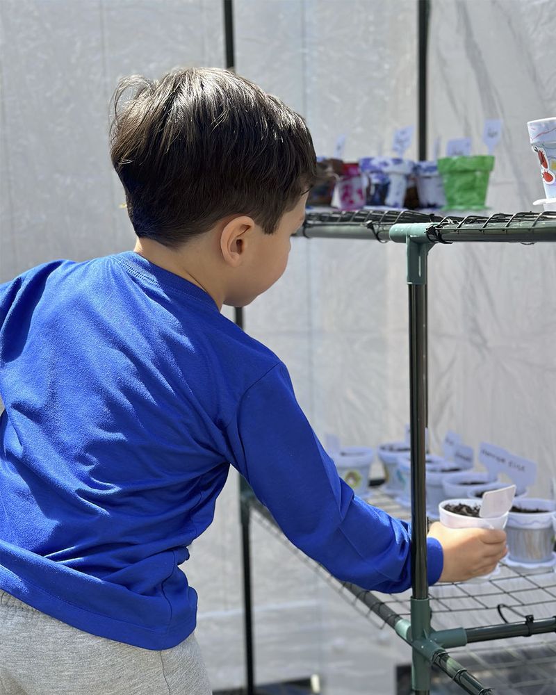 Twinkle Little Star - childcare center in Danbury, CT