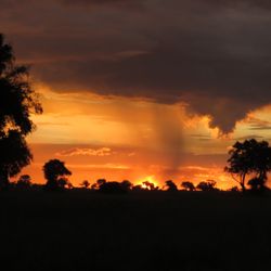 Pioneer Valley Travel - South Africa