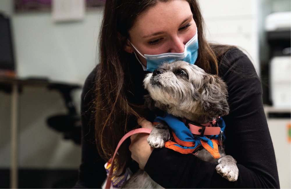 The Good Dog Foundation - social services organization in New York, NY