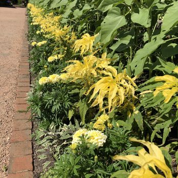 Chicago Botanic Garden - Botanical Gardens Near Me - Glencoe, Illinois