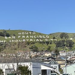 City Hall Annex - South San Francisco - Greener than I've ever seen San Bruno Mountain!!  Wild flowers blooming now!
