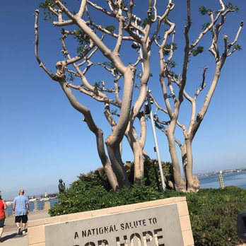 Embracing Peace - Landmarks & Historical Buildings Near Me - San Diego, California