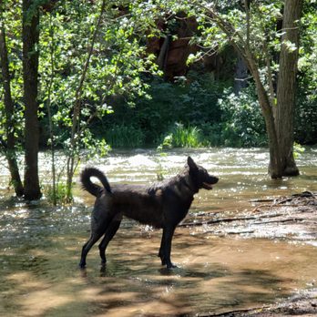 Braeburn Dog Park - Dog Parks Near Me - Rapid City, South Dakota