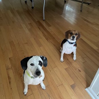 Lead the Way - Pet Sitting Near Me - Tallahassee, Florida