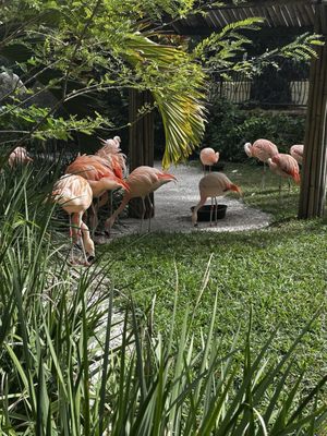 Sunken Gardens by null