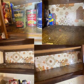 York's Pest Control - Before and after photos showing the rodent droppings that were hiding from the resident before we cleaned and sanitized the area - Pest Control Near Me - Yakima, Washington York's Pest Control - Before and after photos showing the rodent droppings that were hiding from the resident before we cleaned and sanitized the area - Pest Control Near Me - Yakima, Washington