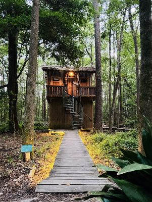 Hostel In the Forest by null