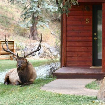 Boulder Brook - Hotels Near Me - Estes Park, Colorado Boulder Brook - Hotels Near Me - Estes Park, Colorado