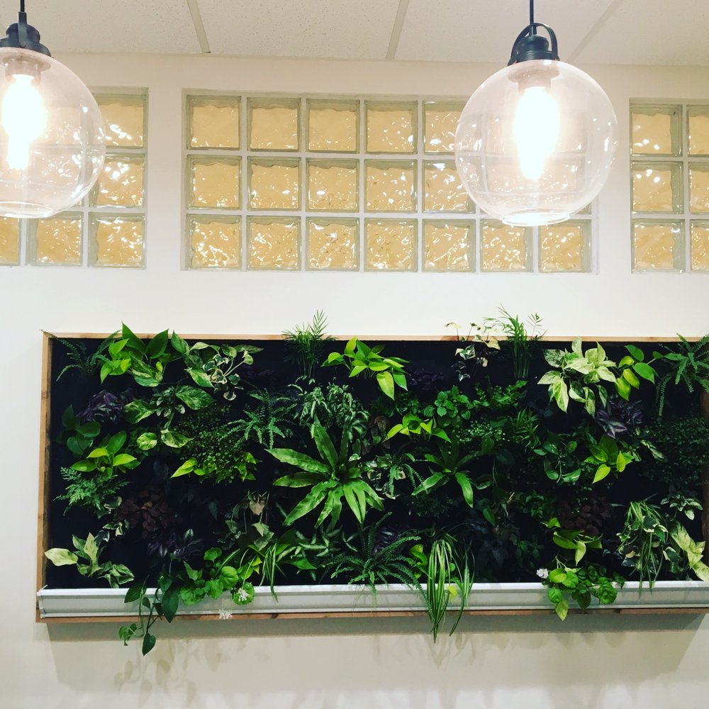 Collective Yoga - The living wall - Yoga Near Me - Virginia Beach, Virginia