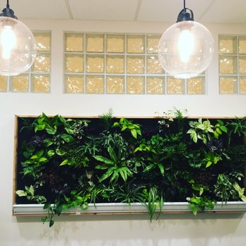 Collective Yoga - The living wall - Yoga Near Me - Virginia Beach, Virginia Collective Yoga - The living wall - Yoga Near Me - Virginia Beach, Virginia