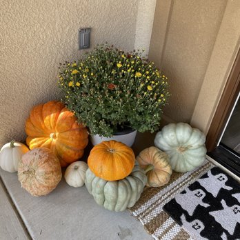 Sweet Thistle Farms - a variety of pumpkins and gourds - Pumpkin Patches Near Me - Clovis, California Sweet Thistle Farms - a variety of pumpkins and gourds - Pumpkin Patches Near Me - Clovis, California