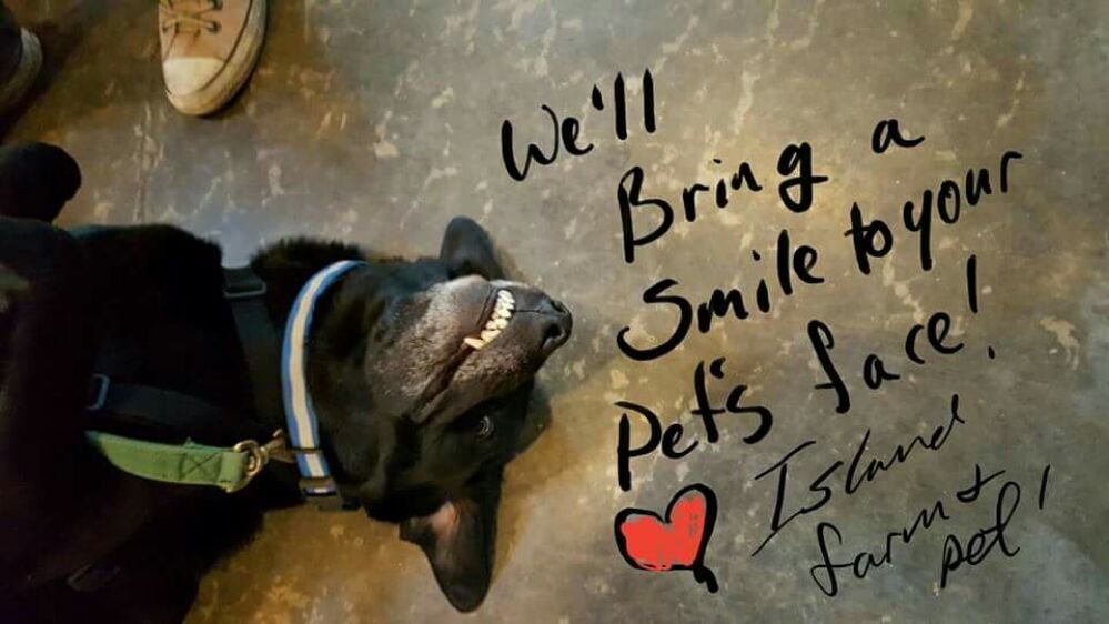 Island Farm & Pet Image