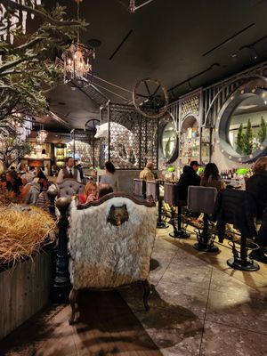 Wolf by Vanderpump at Harveys Lake Tahoe by null