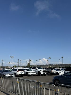 Del Mar Racing by null
