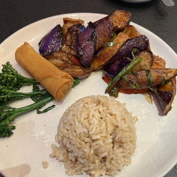 Panda Inn - Eggplant & Tofu lunch special - A meal featuring roasted eggplant and tofu with rice, steamed broccoli, and a spring roll on a white plate. - Chinese Near Me - Pasadena, California