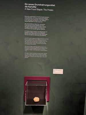 German Historical Museum by null