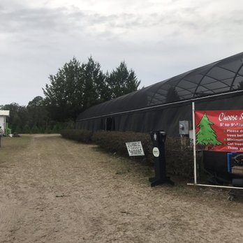 Ergle Christmas Tree Farm - Walk down the side to the field to cut Your own tree - Christmas Trees Near Me - Dade City, Florida