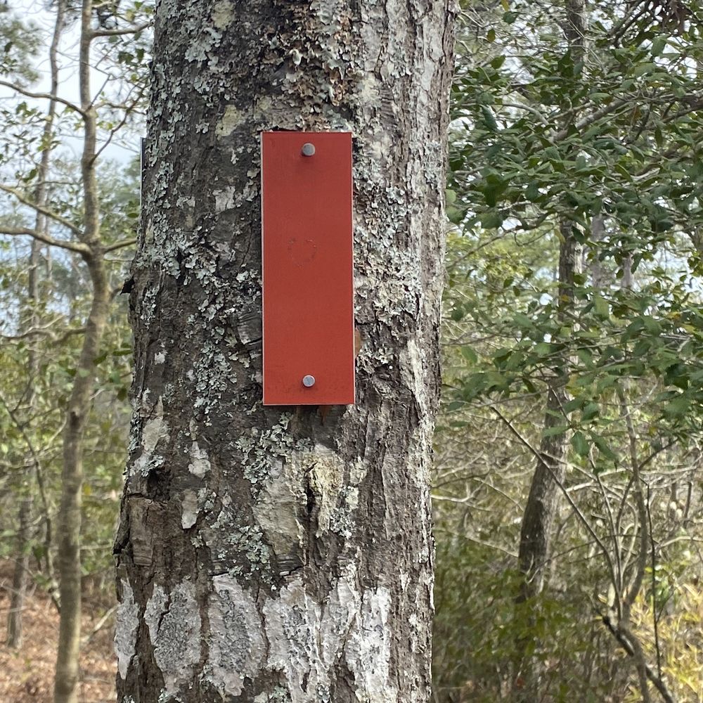First Landing State Park - Regular blazes on the trails. This orange one signifies that we were on the Long Creek Trail. - Parks Near Me - Virginia Beach, Virginia