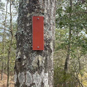First Landing State Park - Regular blazes on the trails. This orange one signifies that we were on the Long Creek Trail. - Parks Near Me - Virginia Beach, Virginia First Landing State Park - Regular blazes on the trails. This orange one signifies that we were on the Long Creek Trail. - Parks Near Me - Virginia Beach, Virginia
