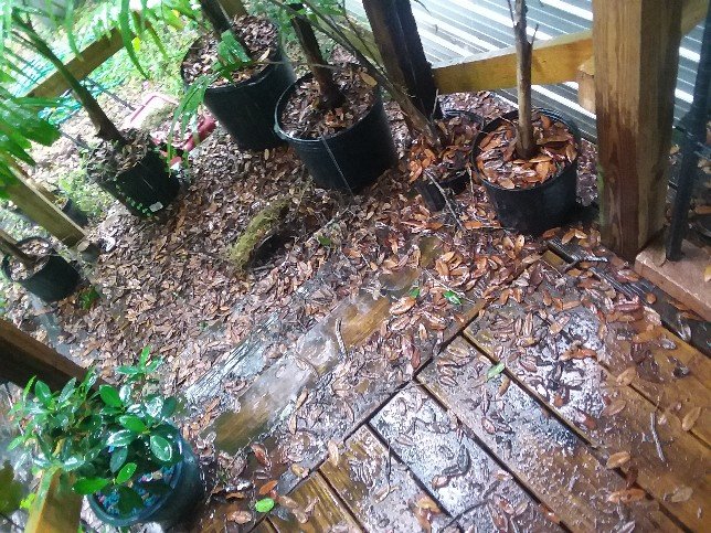 Slide of RIG Roofing