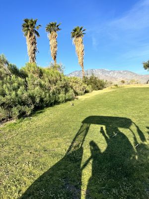 Escena Golf Club by null