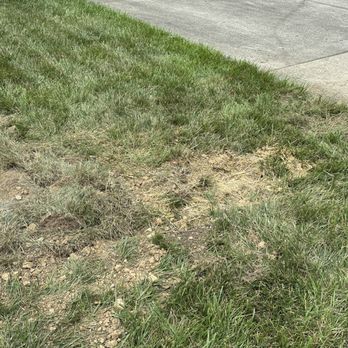 Cincinnati Bell - The mess in my yard. - Internet Service Providers Near Me - Cincinnati, Ohio