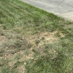 Cincinnati Bell - The mess in my yard.