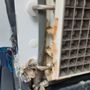 Photo of C-P Three Ice Services