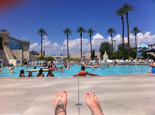 The Oasis Pool by null