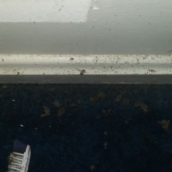 Top Notch Air - See the dirt on wall and floor - Air Duct Cleaning Near Me Top Notch Air - See the dirt on wall and floor - Air Duct Cleaning Near Me
