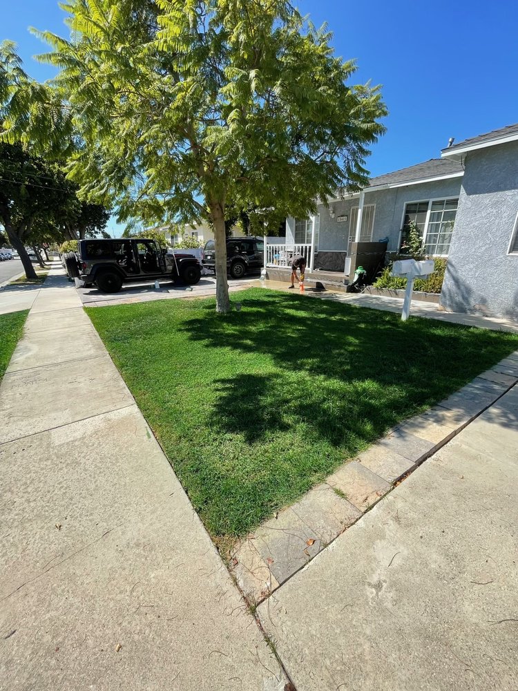 THE GREEN DOCTORS 11 Photos Lawndale, CA Yelp