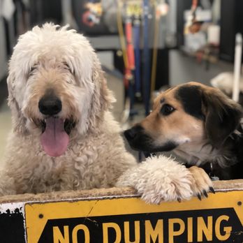 The Complete Dog - Pet Groomers Near Me - Northbrook, Illinois