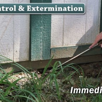 Bruce's Pest Control - Pest Control Near Me Bruce's Pest Control - Pest Control Near Me