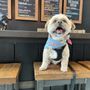 Photo of Little Beasts Brewing