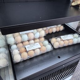 Multicolor eggs in fridge