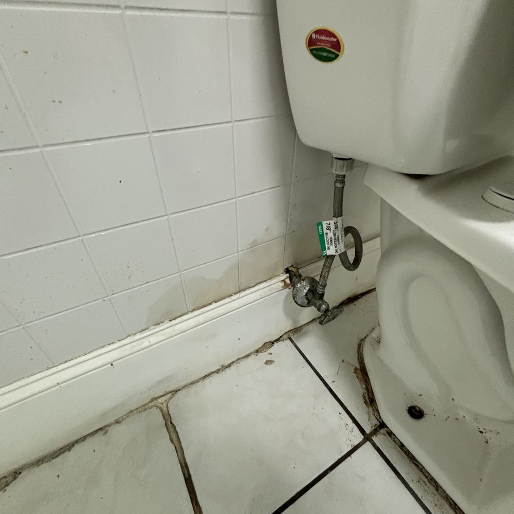 Super 8 by Wyndham Williamsburg - Water leak damage behind toilet - Hotels Near Me - Williamsburg, Kentucky Super 8 by Wyndham Williamsburg - Water leak damage behind toilet - Hotels Near Me - Williamsburg, Kentucky