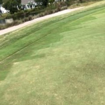 Barefoot Resort and Golf - Greens - Golf Near Me - North Myrtle Beach, South Carolina
