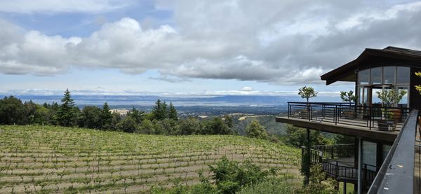 Thomas Fogarty Winery by null