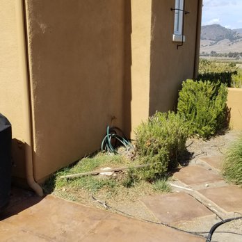 Greenvale Tree Company - Tree Services Near Me