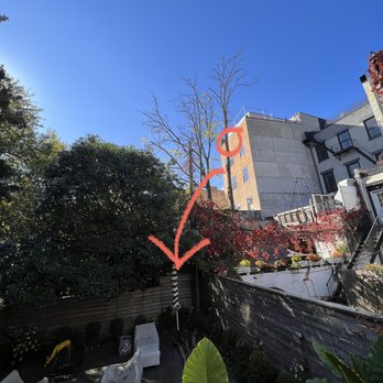 Joya - a view of a house from the back yard - Thai Near Me - Brooklyn, New York
