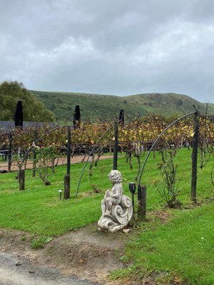 Wild Estate - The Untamed Winery by null