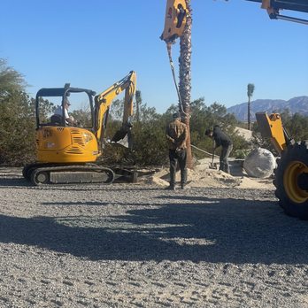 Gregory Palm Farms - Palm planting - Nurseries & Gardening Near Me - Pauma Valley, California