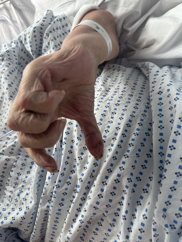 NORTHERN MANOR MULTICARE Updated November 2024 11 Photos & 22